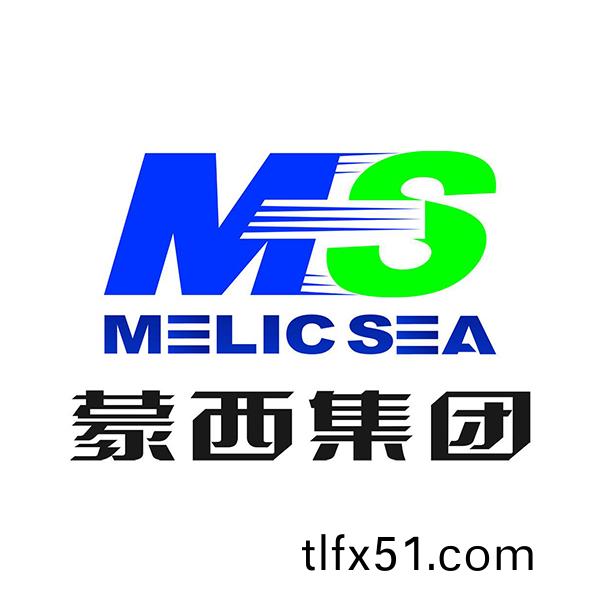 矇西水泥（集糰）.jpg
